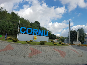 Cornu