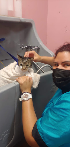 Pet Groomer «Furry Tails Pet Grooming», reviews and photos, 865 Cypress Pkwy, Poinciana, FL 34759, USA