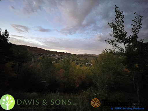 Davis & Sons, LLC