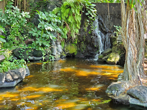 Luxury Hotel «Bonaventure Resort & Spa», reviews and photos, 250 Racquet Club Rd, Weston, FL 33326, USA