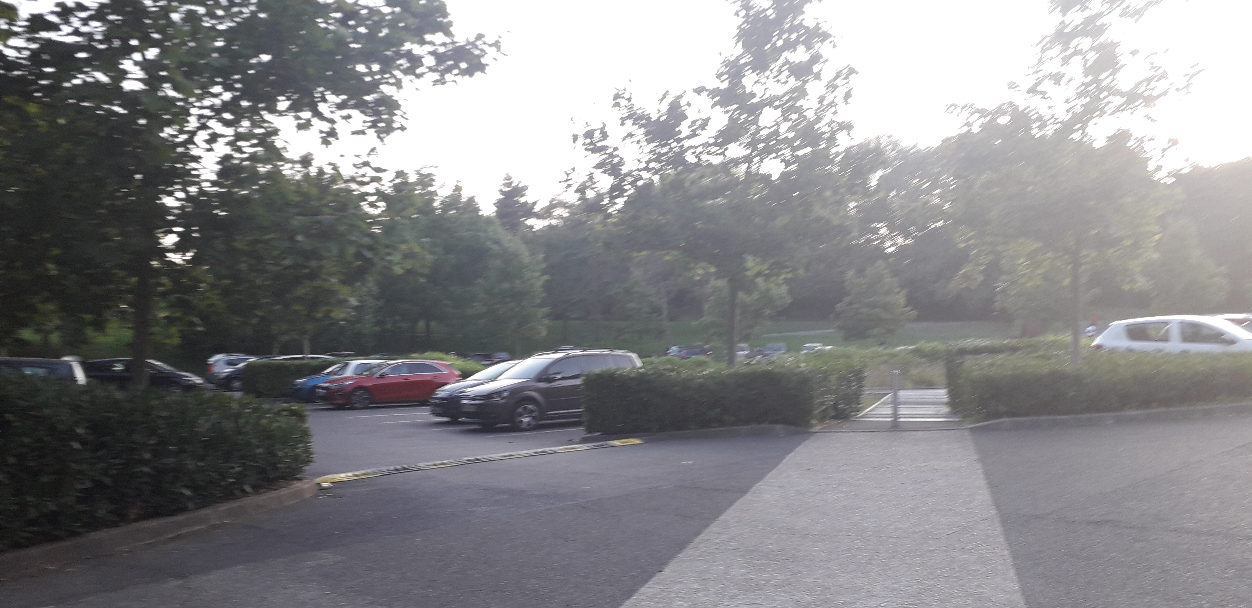 Photo n° 18 de l'avis de Dalila.C fait le 26/08/2019 à 20:04