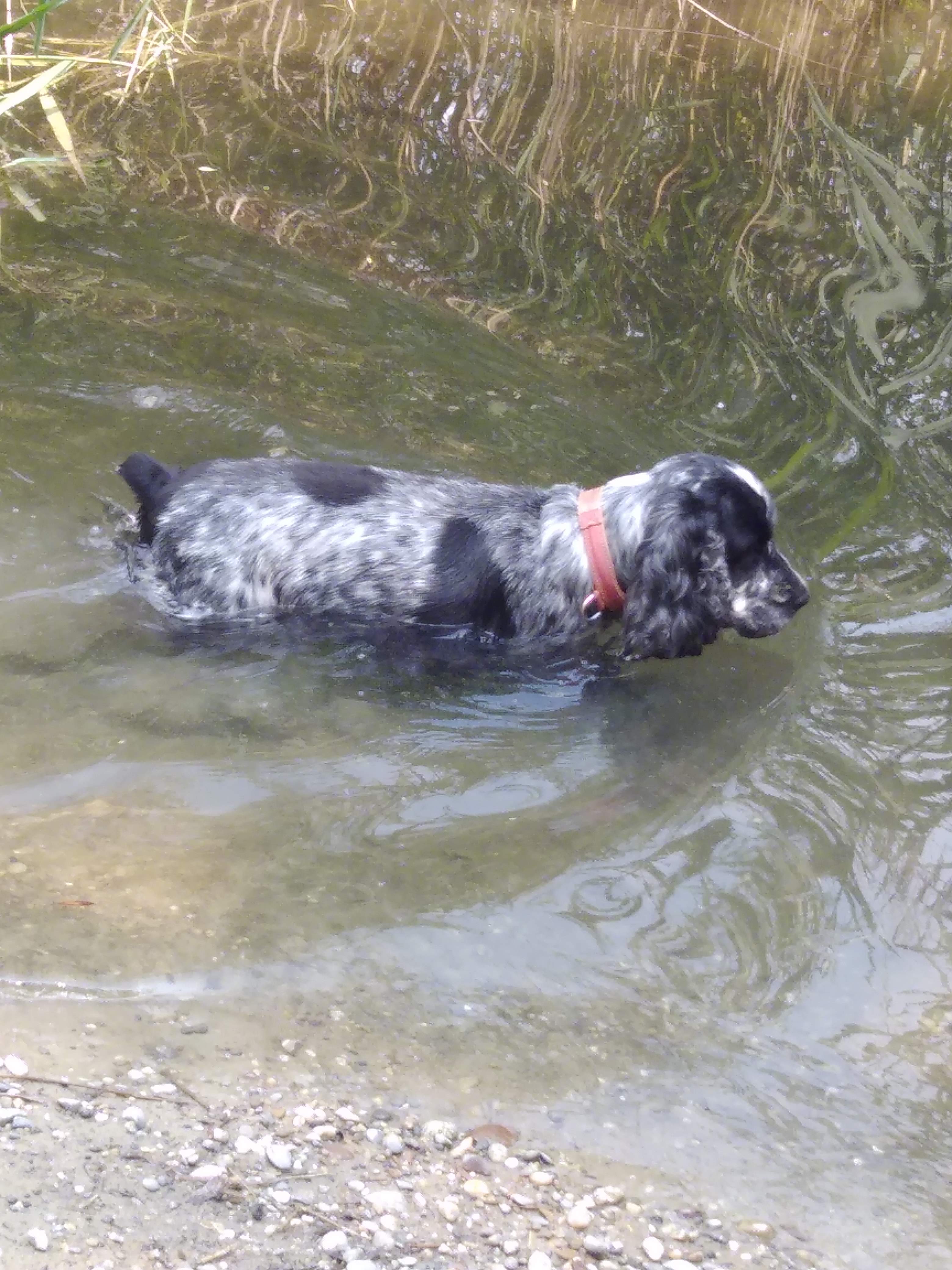 Photo n° 3 de l'avis de Claude.t fait le 15/07/2018 à 12:10