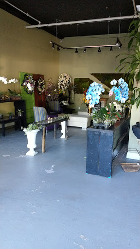 Florist «European Petals», reviews and photos, 289 Franklin Ave, Wyckoff, NJ 07481, USA