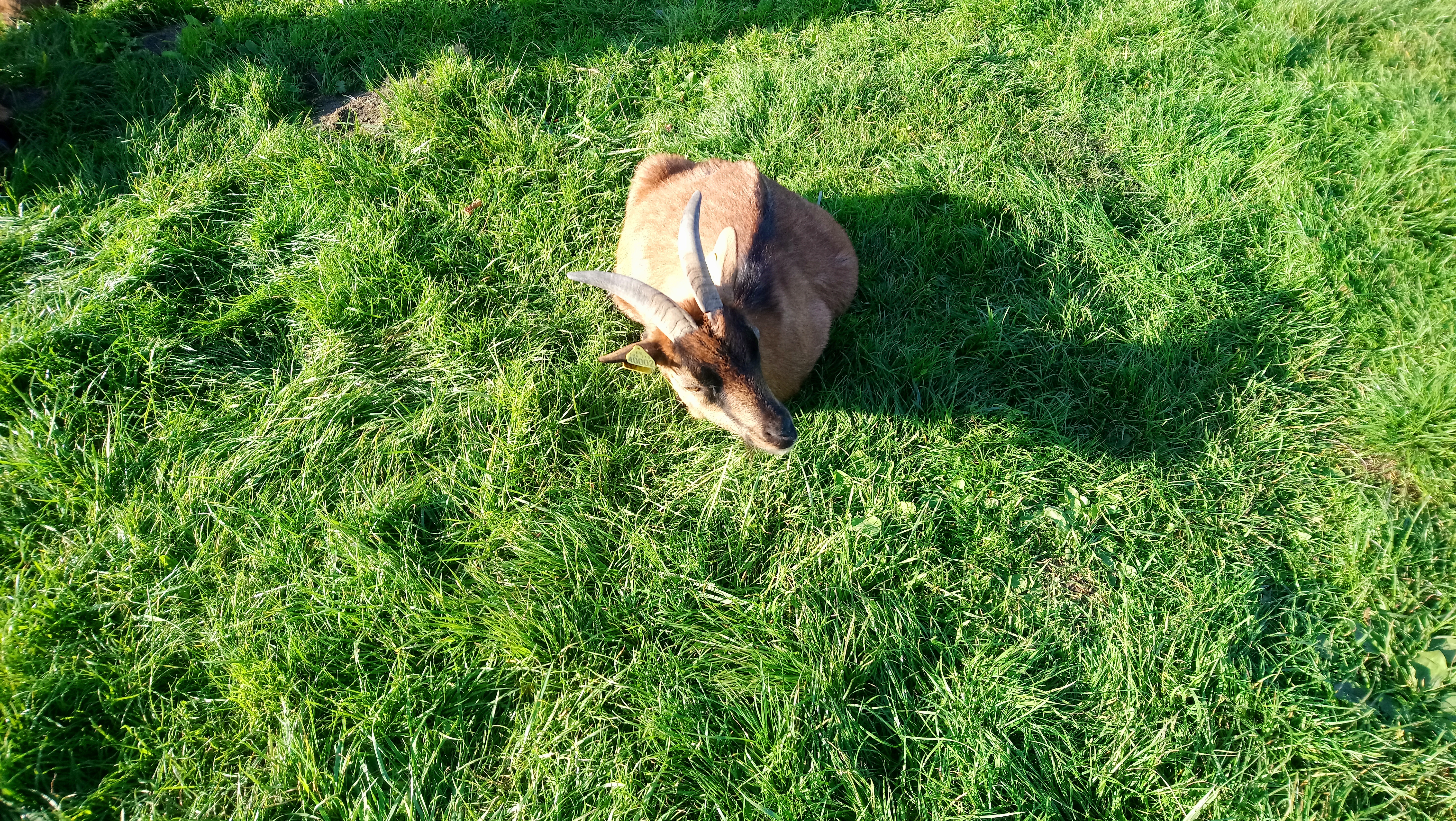 Photo n° 7 de l'avis de Tetart.a fait le 19/10/2021 à 19:56