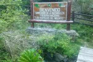 National Reserve Huemules of Niblinto image