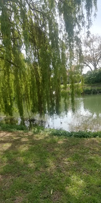 Parc de la Martinière à Vaux-sur-Seine