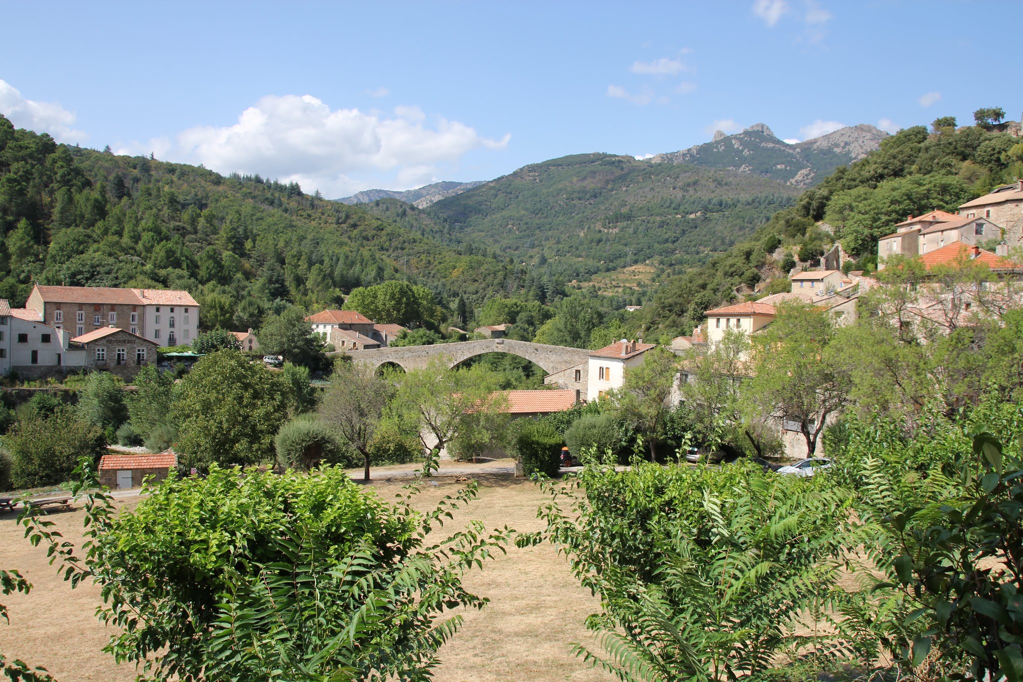 Photo n° 13 de l'avis de Canis.u fait le 02/09/2018 à 10:19