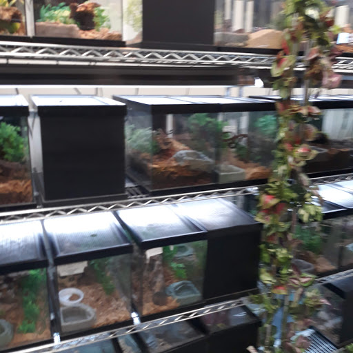 Reptile Store «LLLReptile & Supply Las Vegas», reviews and photos, 8450 W Sahara Ave #105, Las Vegas, NV 89117, USA