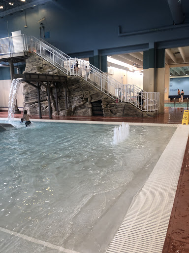 Water Park «Great River Water Park», reviews and photos, 270 Lexington Pkwy N, St Paul, MN 55104, USA