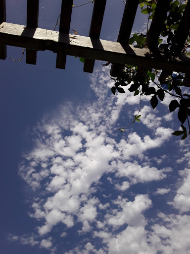 Spa «Well Within Spa», reviews and photos, 417 Cedar St, Santa Cruz, CA 95060, USA