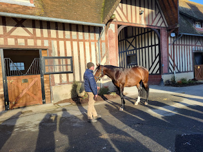 Haras de Beaumont à Vauville