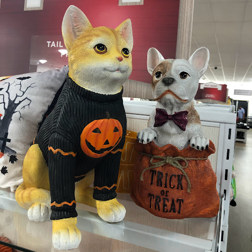 Department Store «HomeGoods», reviews and photos, 8200 Renaissance Pkwy #103, Durham, NC 27713, USA