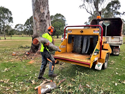 Eden Trees - Tree Removal Logan Brisbane - Arborist