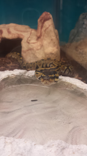 Pet Store «Pet Advantage», reviews and photos, 350 Dorset St # 1, South Burlington, VT 05403, USA