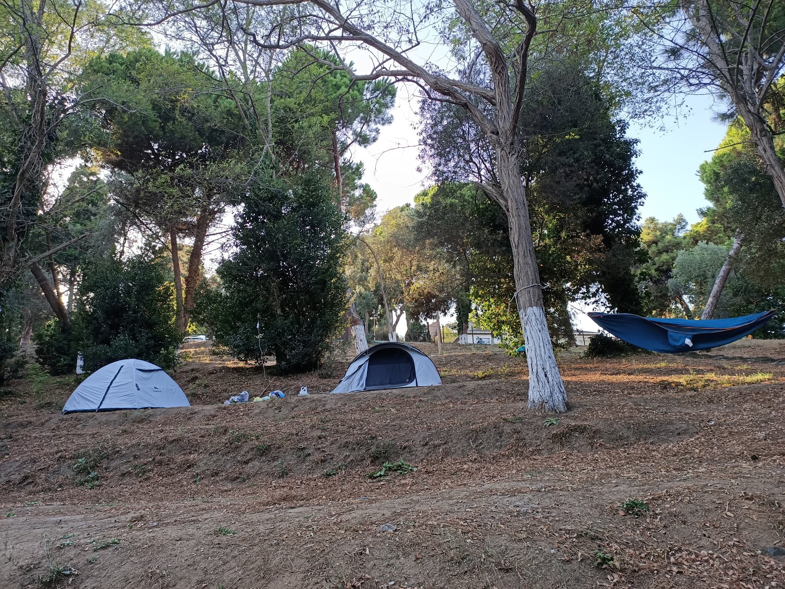 Sinop Plaji'in fotoğrafı dağlarla çevrili