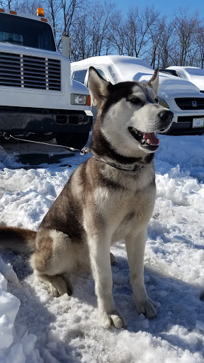 Smog Inspection Station «E.M. AUTO REPAIR & CERTIFIED EMISSIONS TEST CENTER», reviews and photos, 46 Maple Ave, Danbury, CT 06810, USA