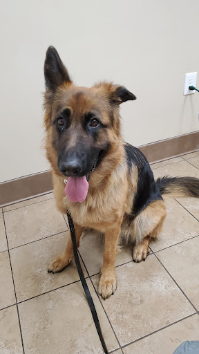 187 Churchtown Rd, Pennsville, NJ 08070, USA