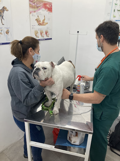 BonAire Petshop veterinaria peluquería canina y felina, Ecografias, kinesiología, cirugías, análisis clínicos, electrocardiograma, alimentos, medicamentos
