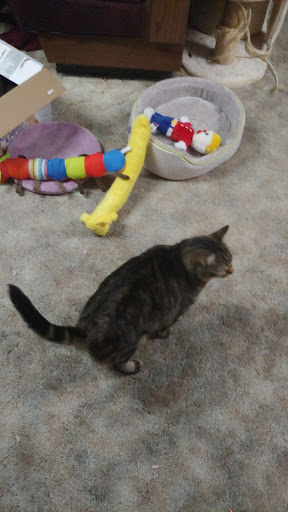 Pet Supply Store «Pet Supplies Plus», reviews and photos, 345 Willow Bend, Crystal, MN 55428, USA