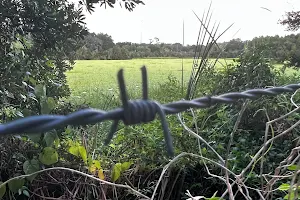 Upper Tampa Bay Trail Parking (Wilsky) image