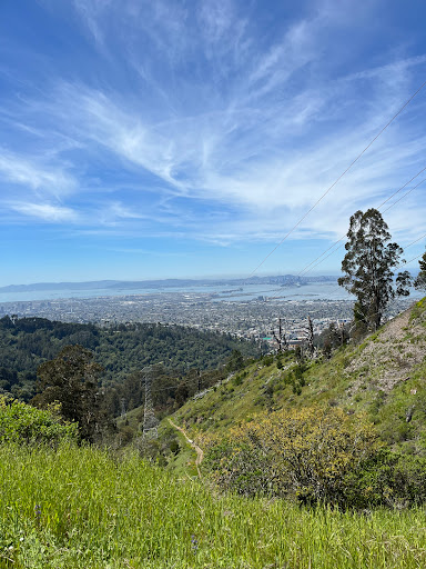 Grizzly Peak Trail