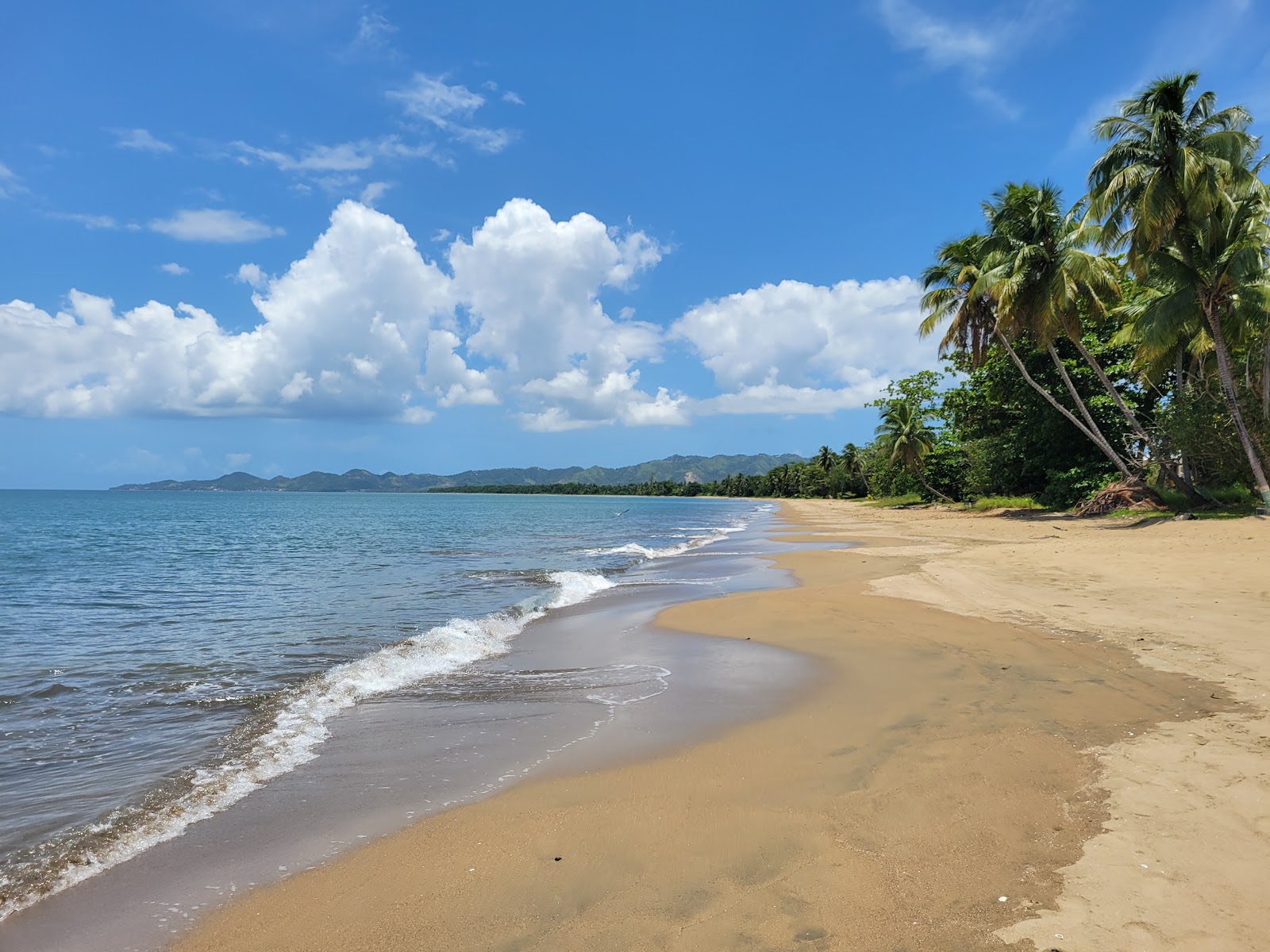 Φωτογραφία του Playa Sabaneta με φωτεινή άμμος επιφάνεια