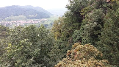 Photos of Rossatz 8