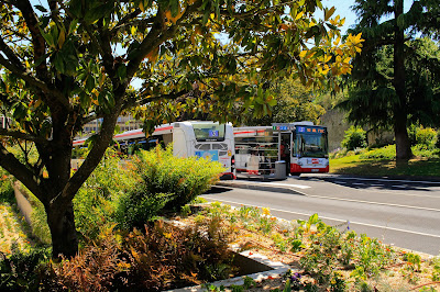 Espace Choletbus à Cholet