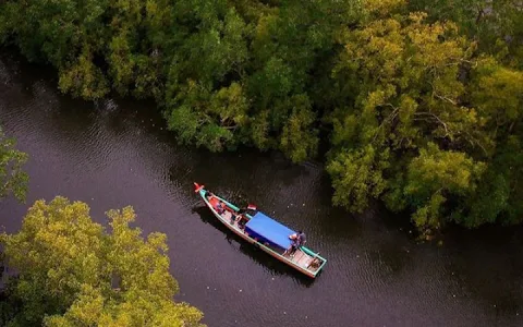 Mangrove Tourism Bengkulu image