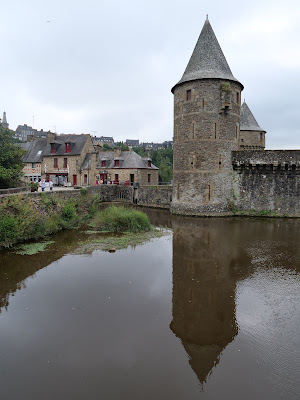 Fougères à Fougères