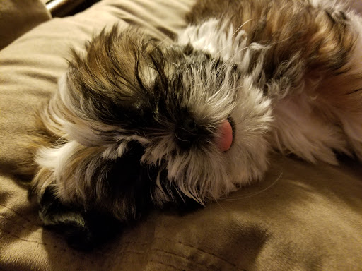 Pet Supply Store «Petco Animal Supplies», reviews and photos, 3860 Elmore Avenue, Davenport, IA 52807, USA