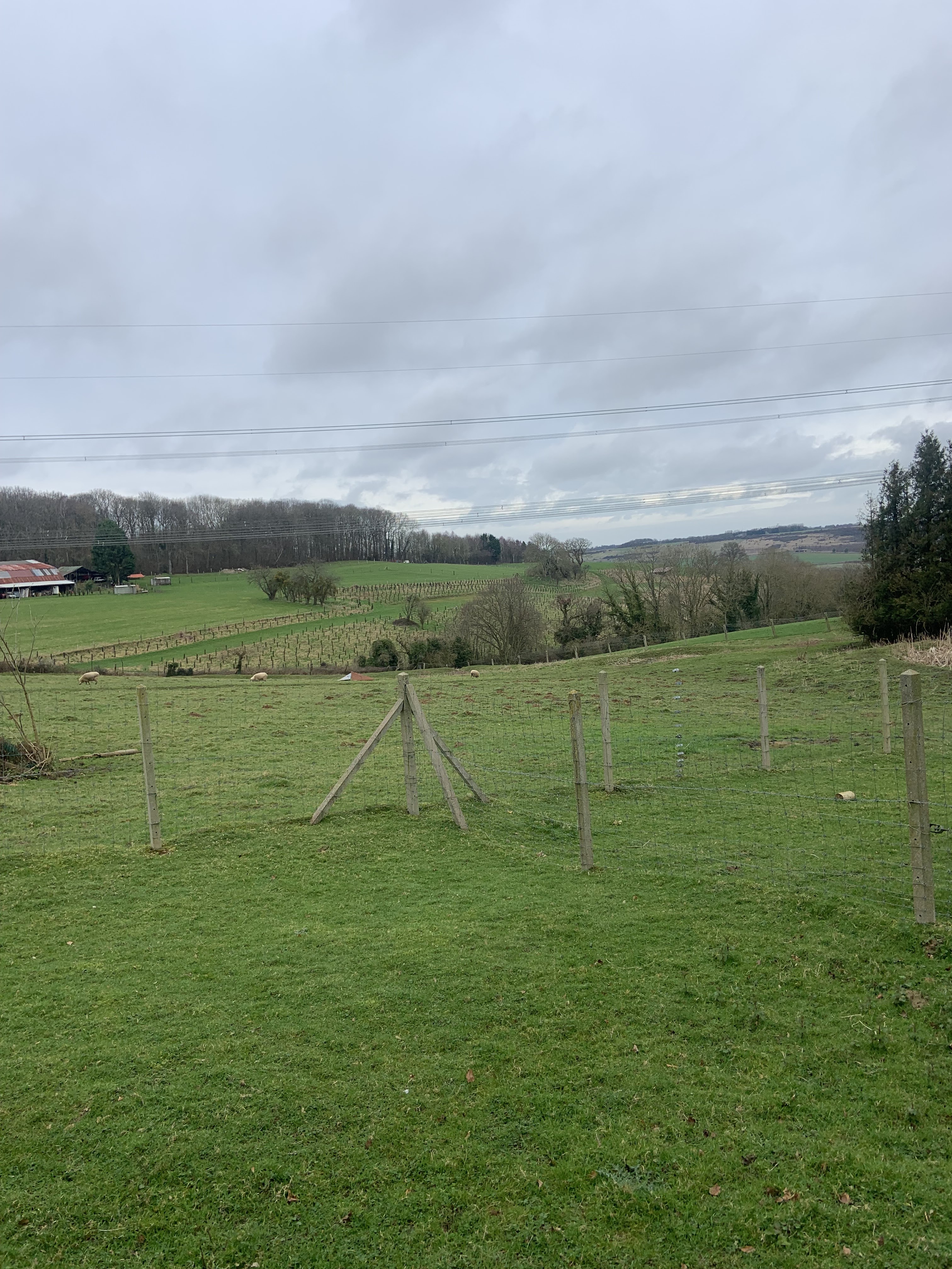 Photo n° 2 de l'avis de Lolllo.t fait le 28/02/2024 à 15:40