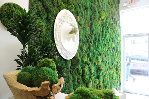 Interior Plant Service «Plant The Future, Inc.», reviews and photos, 2511 NW 2nd Ave, Miami, FL 33127, USA