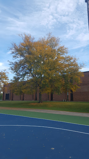 Park «Hoover Park», reviews and photos, 301 N Springinsguth Rd, Schaumburg, IL 60194, USA