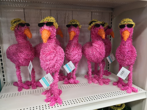 Craft Store «Michaels», reviews and photos, 1800 S Loop 288 #340, Denton, TX 76205, USA