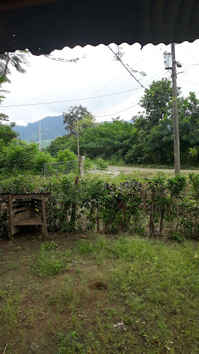 Opiniones de Entrada A Rio Santo en Chone - Restaurante