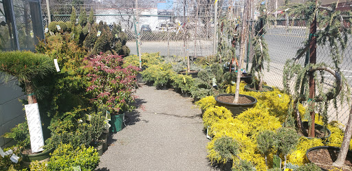 Garden Center «Westminster Nursery & Florist», reviews and photos, 30 Westminster Rd, West Hempstead, NY 11552, USA