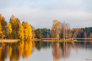 Lehtisaaren kesäkoti image