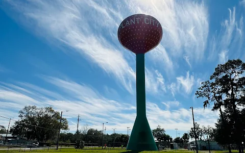 Plant City Water Tower image