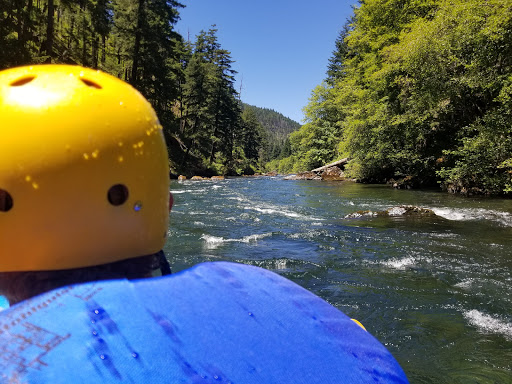 National Forest «Umpqua National Forest», reviews and photos, 1121 Houser Ct, Idleyld Park, OR 97447, USA