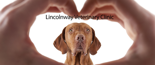 Lincolnway Veterinary Clinic