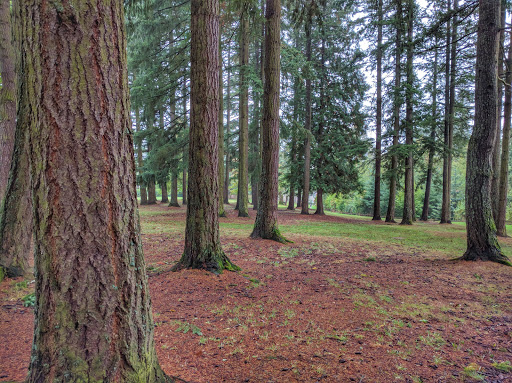 Park «Albert Kelly Park», reviews and photos, SW Dosch Rd & SW Mitchell St, Portland, OR 97239, USA