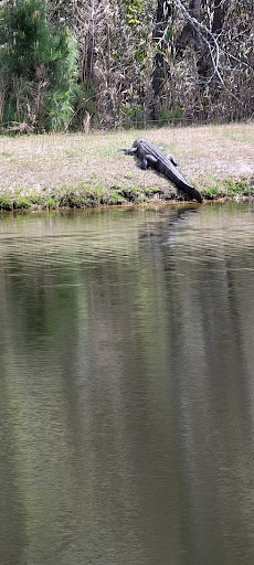 Golf Course «Kings North Golf Course», reviews and photos, 4900 National Dr, Myrtle Beach, SC 29579, USA