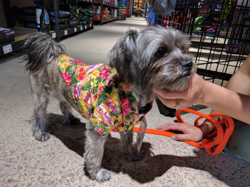 Pet Store «The Upper Paw», reviews and photos, 2809 Commerce St, Dallas, TX 75226, USA