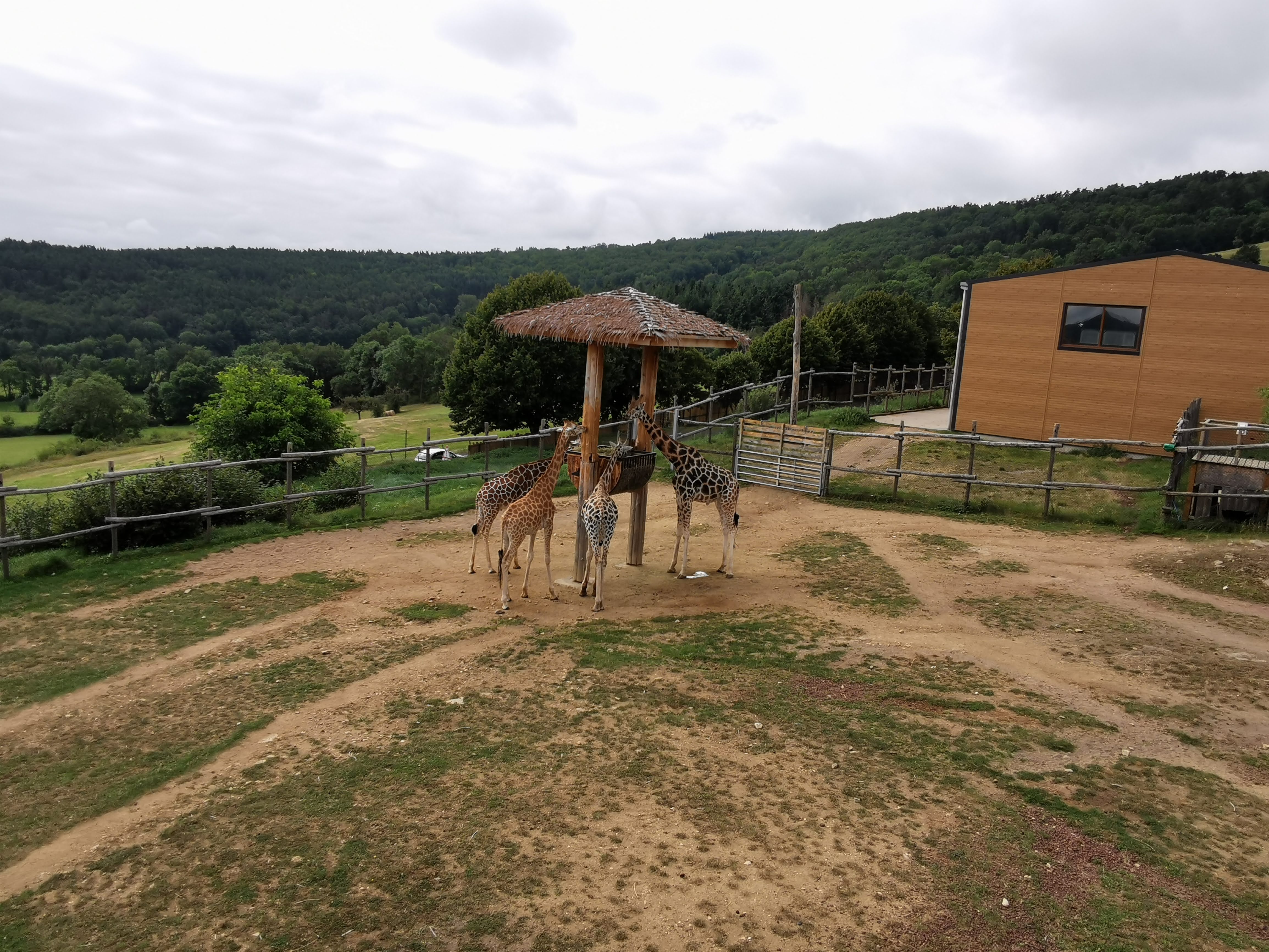 Photo n° 12 de l'avis de Emi.i fait le 25/08/2021 à 14:06