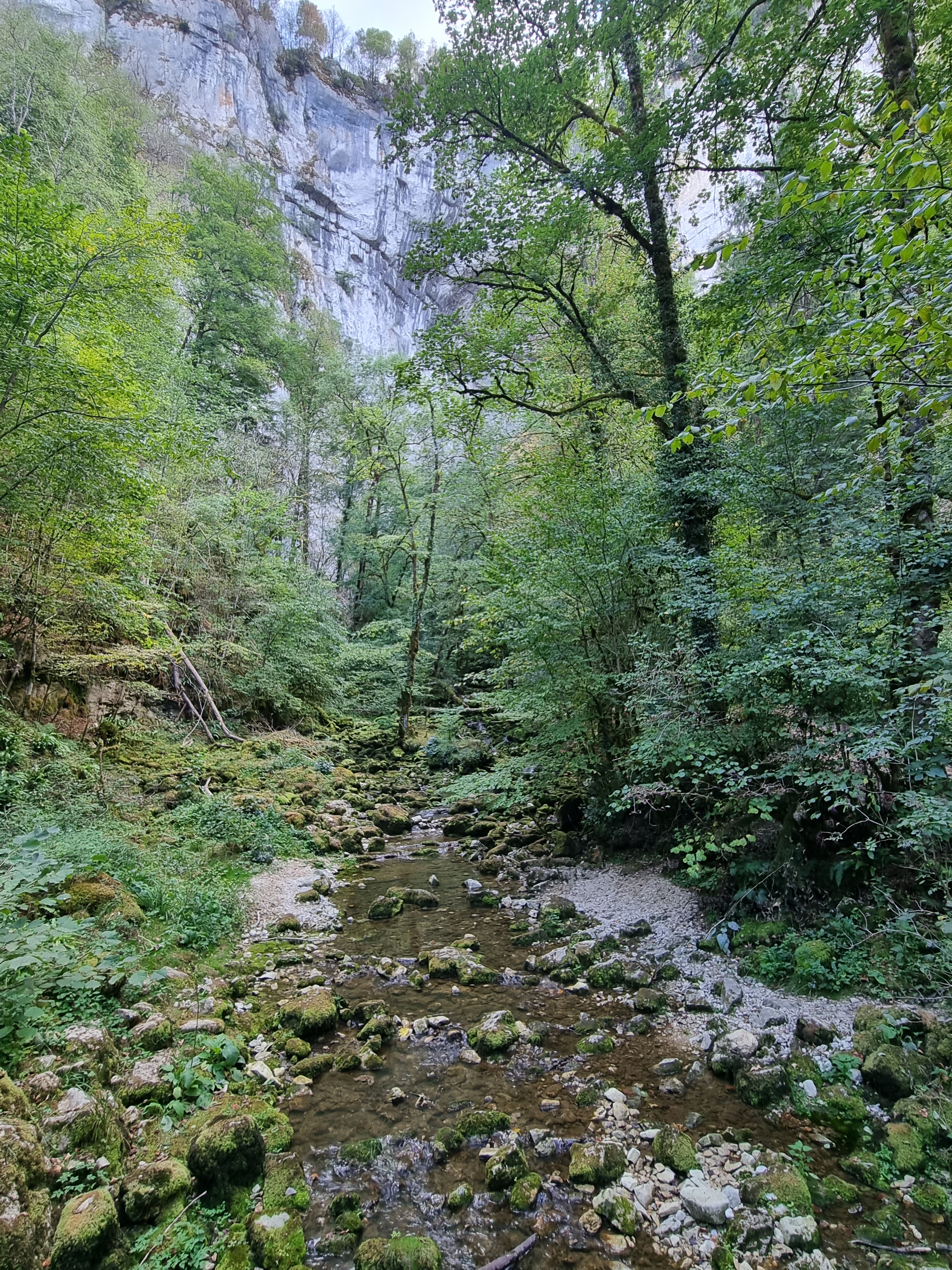 Photo n° 10 de l'avis de Thierry.o fait le 29/08/2022 à 15:01