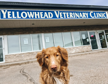Yellowhead Veterinary Clinic