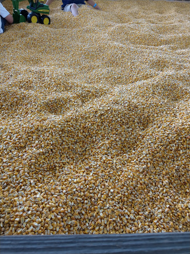 Tourist Attraction «Partin Ranch Corn Maze», reviews and photos, 5601 N Canoe Creek Rd, Kenansville, FL 34739, USA