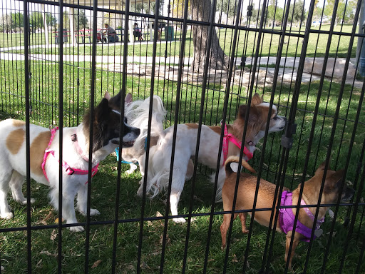 Park «Mountain Crest Park», reviews and photos, 4701 N Durango Dr, Las Vegas, NV 89129, USA