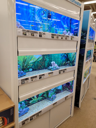 Pet Supply Store «Petco Animal Supplies», reviews and photos, 2565 NE 10th Ct, Homestead, FL 33035, USA